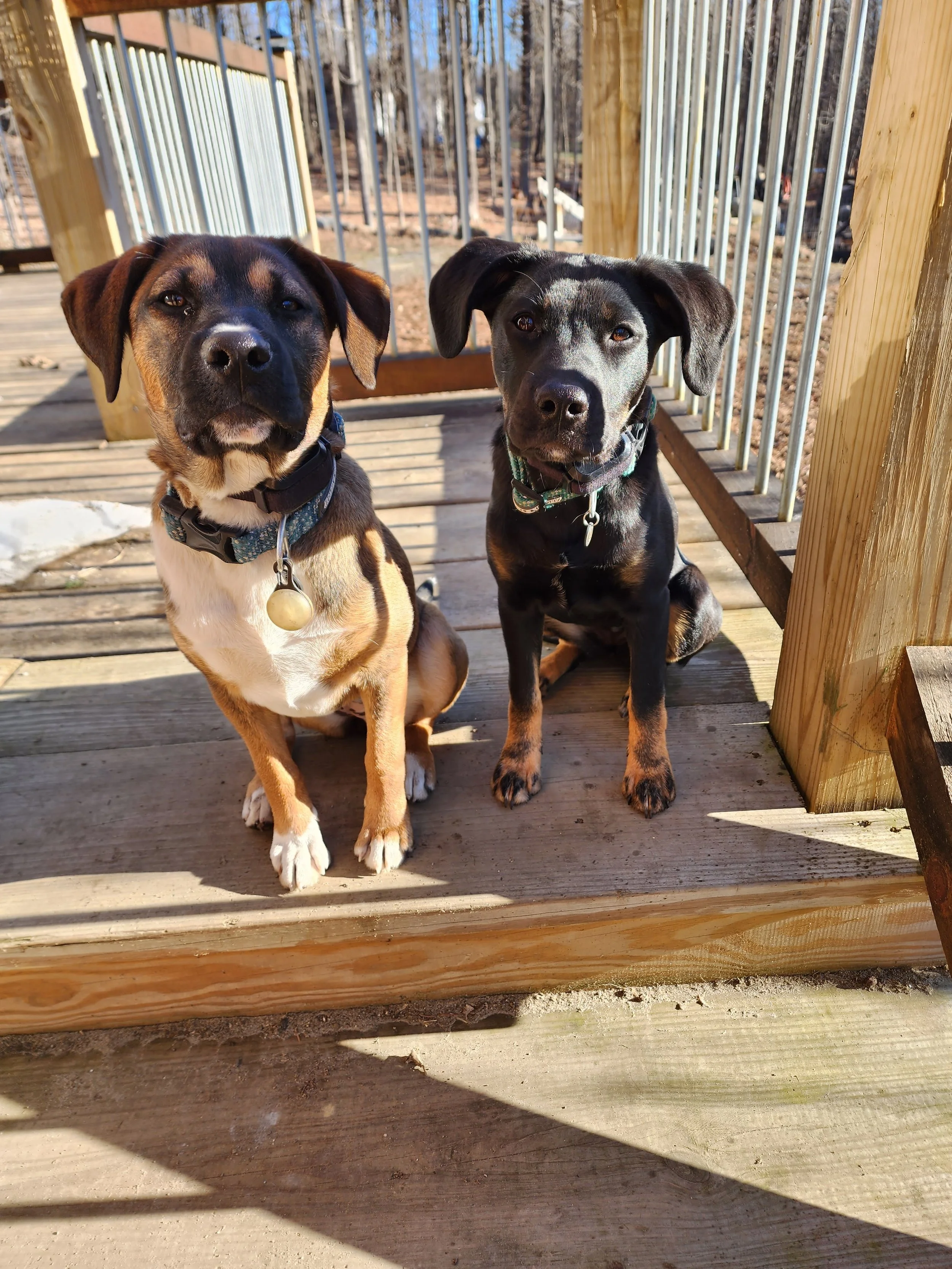 Pearl  and Louie