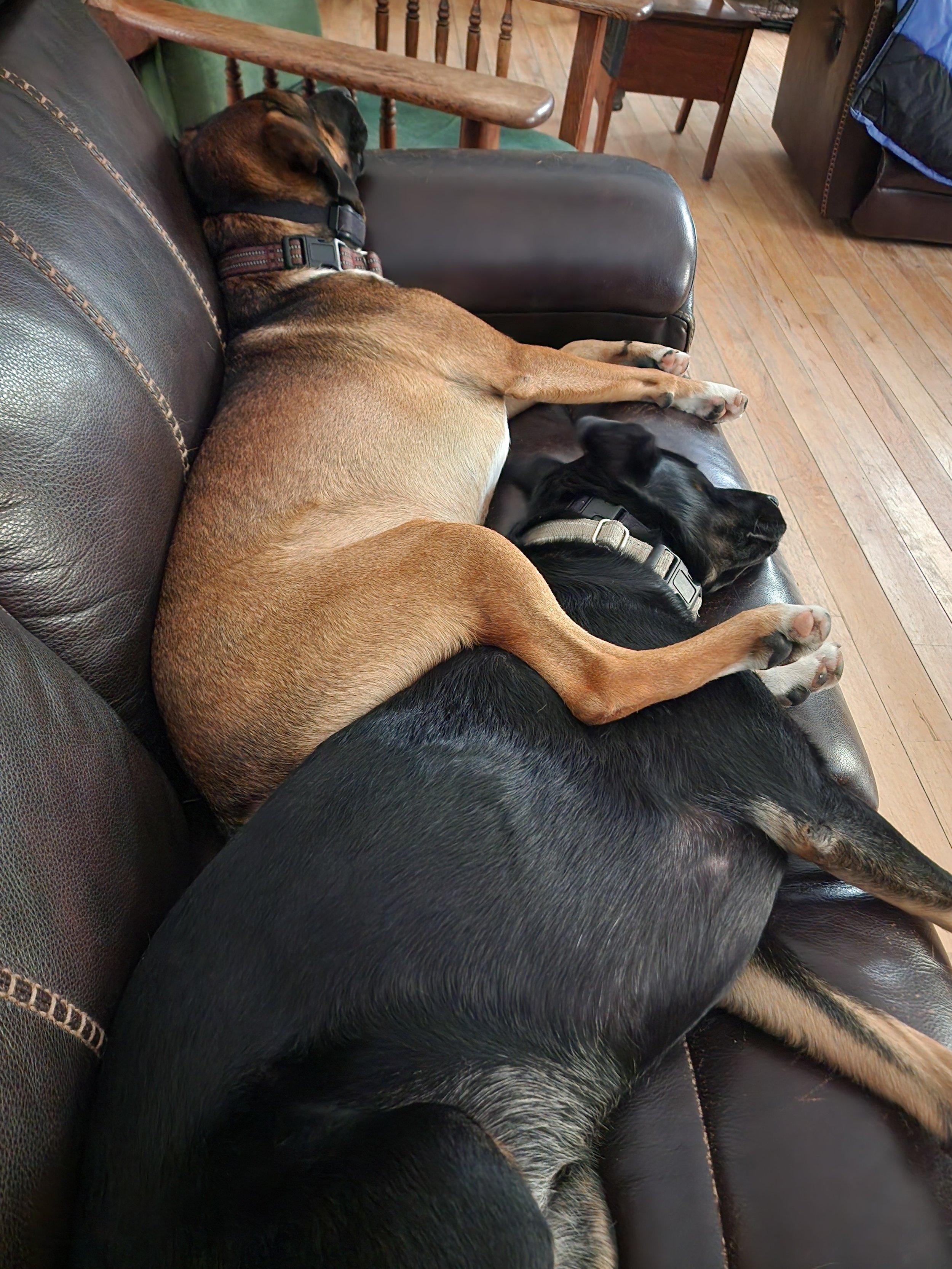 Pearl and Louie