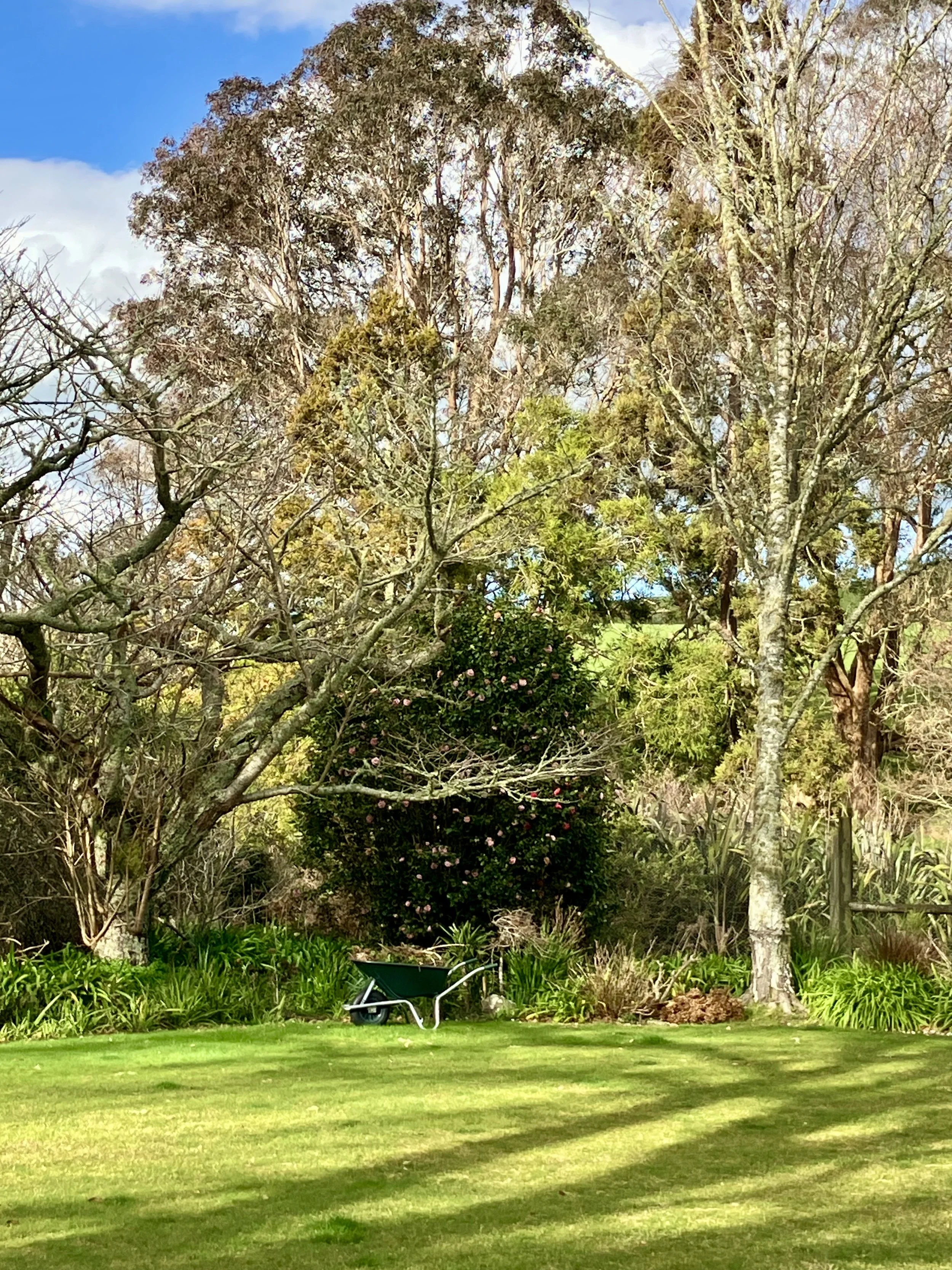 IMG_2301.jpeg