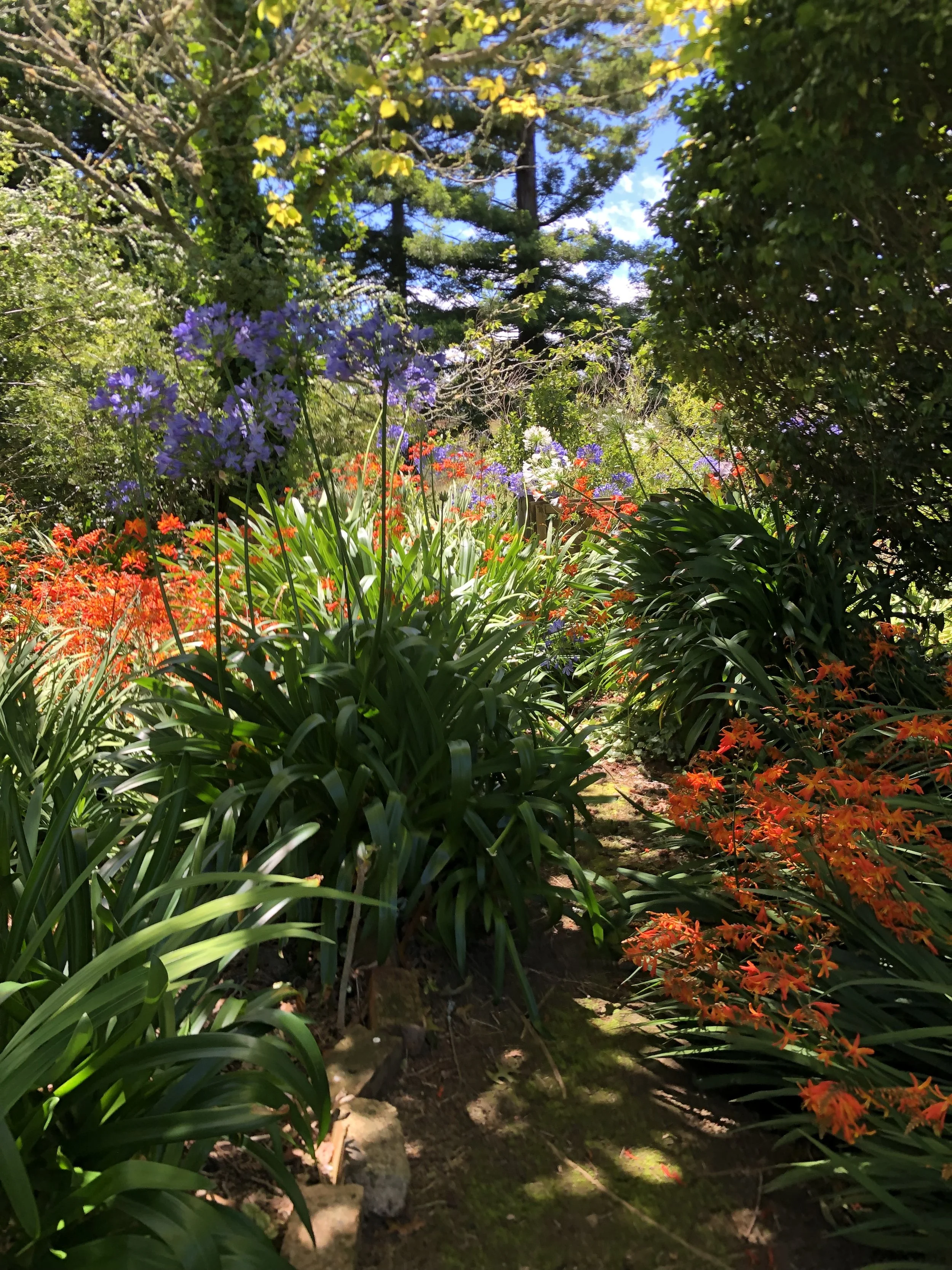IMG_5579.jpeg