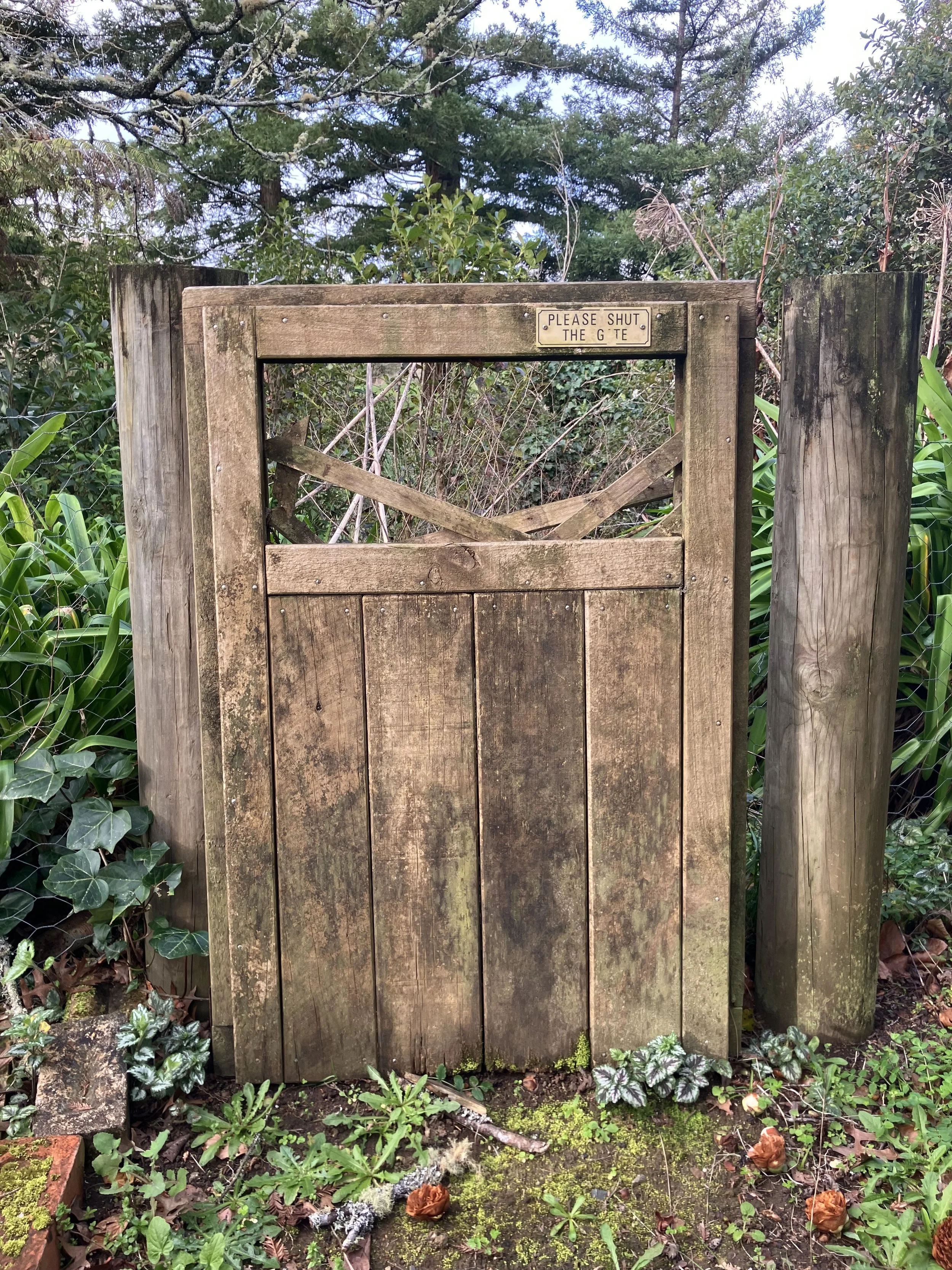 Labour of Love