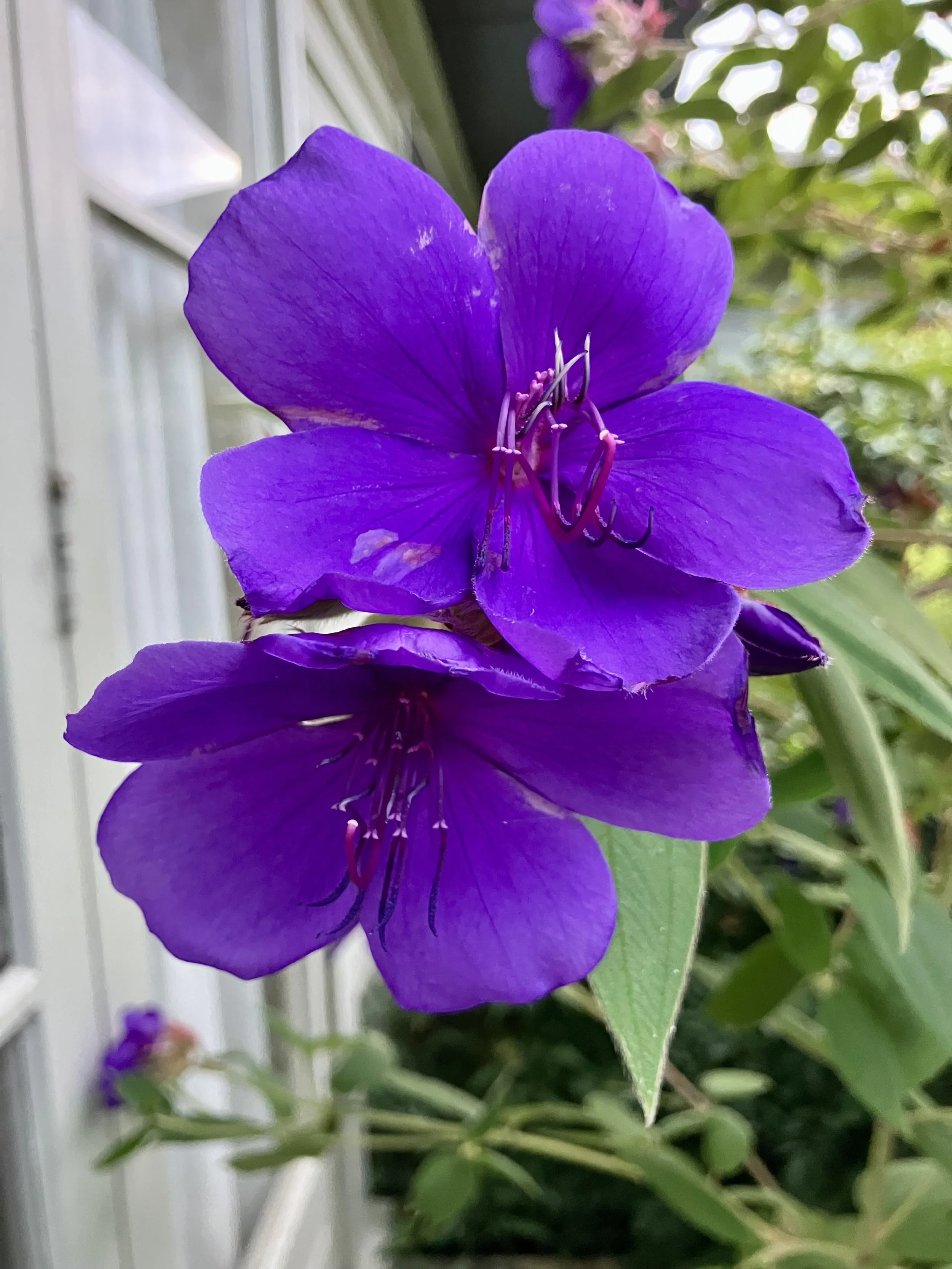 IMG_0204.jpeg