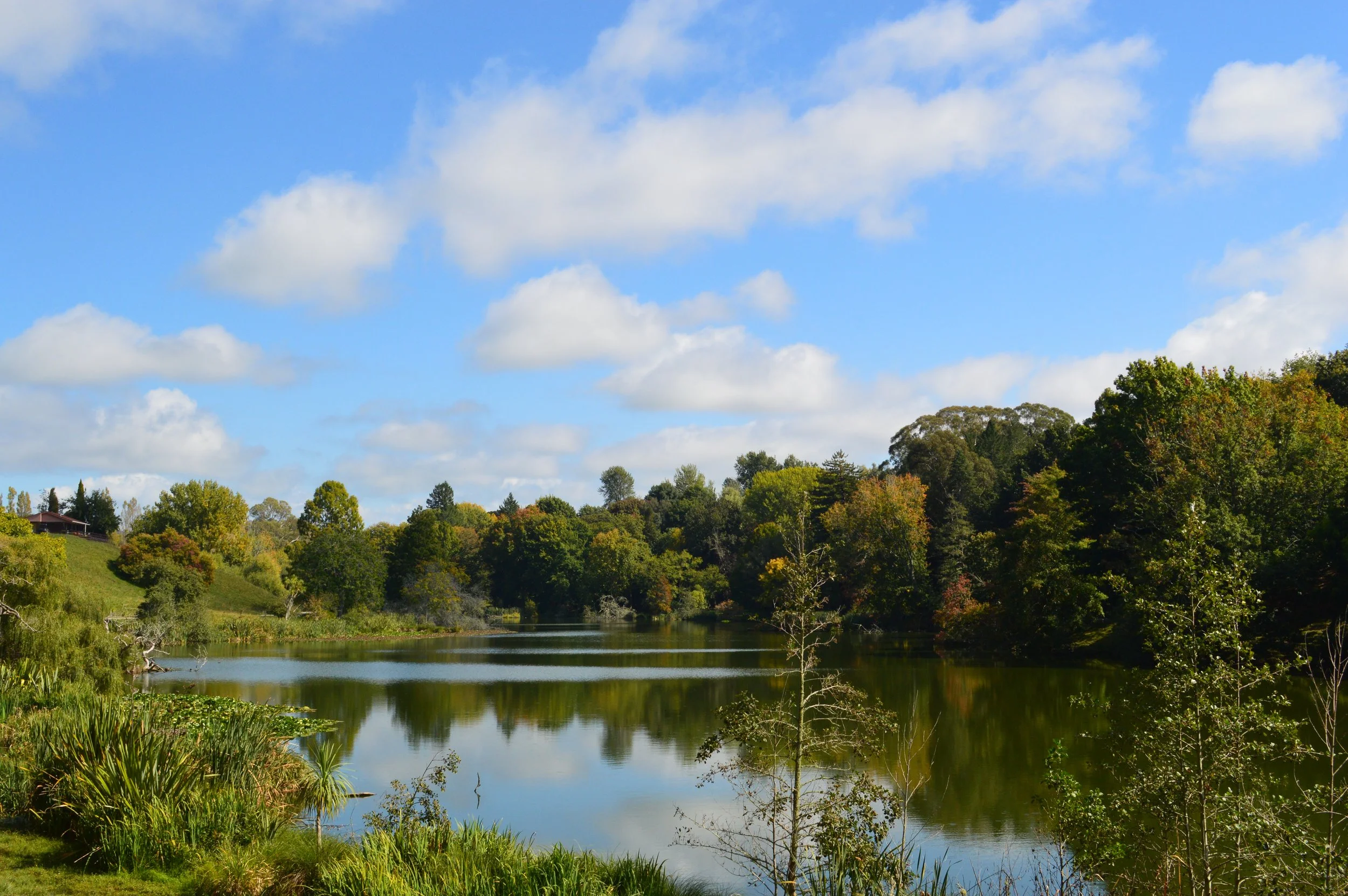 A scenic landscape featuring a calm lake surrounded by dense trees with green and autumn-colored leaves, under a blue sky with scattered white clouds.