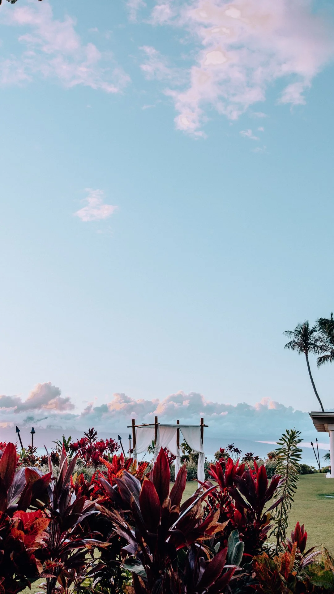 Scenic ocean view with pink and purple clouds, palm trees, and a decorative arch with white fabric, surrounded by vibrant red and purple plants.