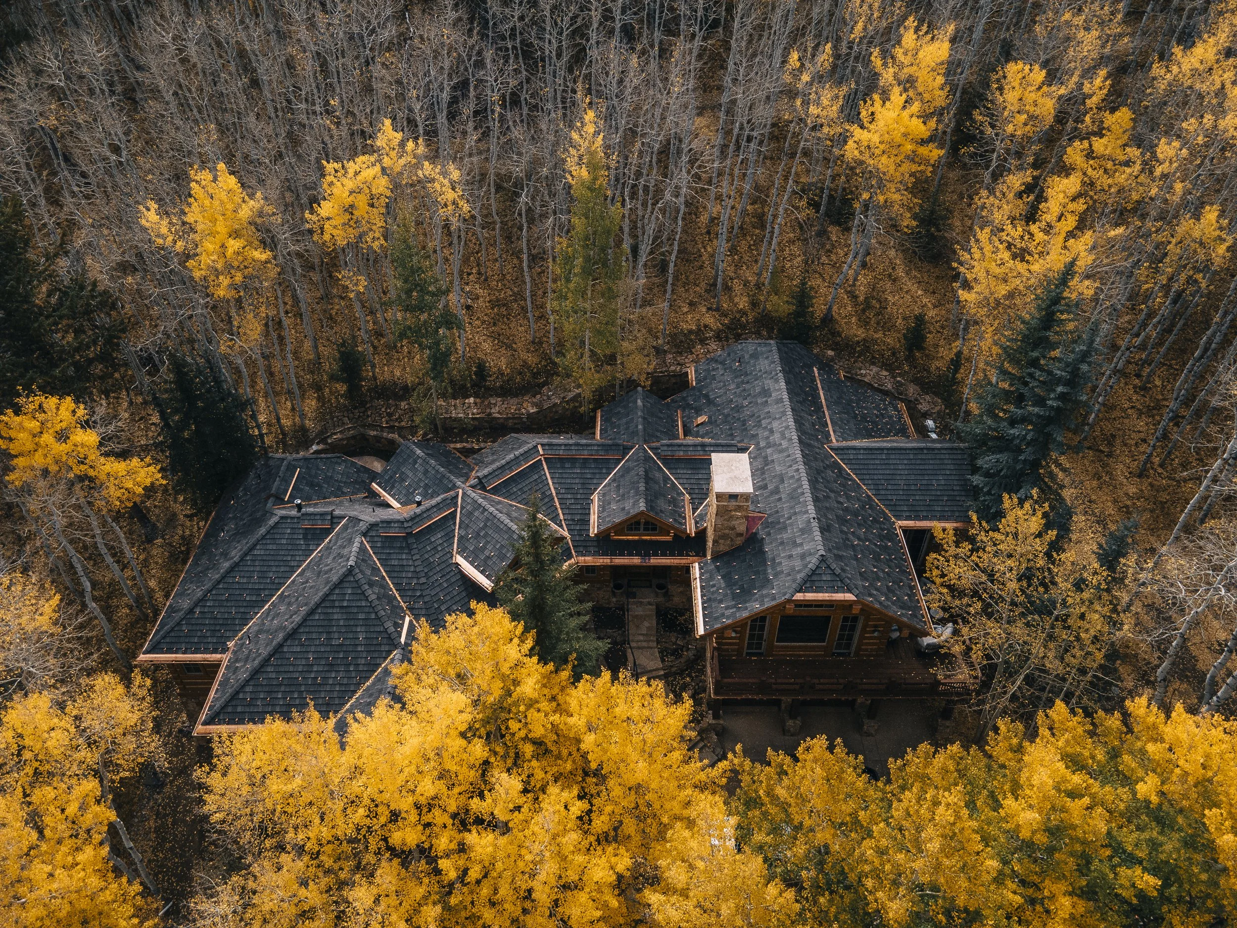An aerial view of houses with dark roofs surrounded by trees with yellow and brown autumn leaves.