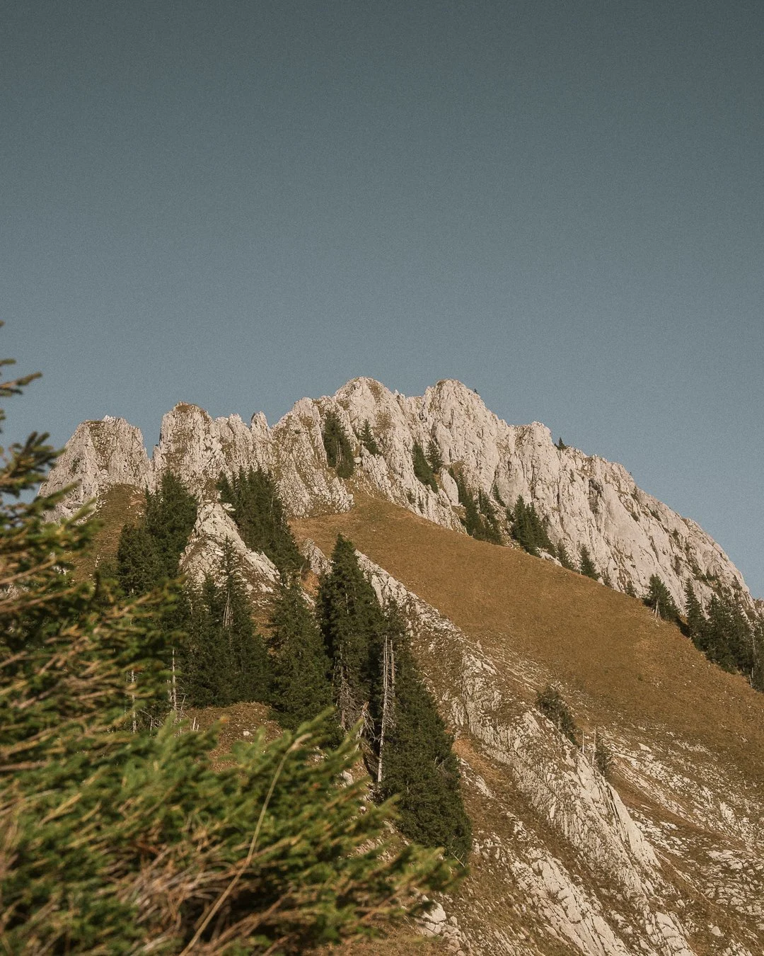 Scenic view of a rugged mountain with rocky peaks, sparse forested areas, and a clear sky overhead.