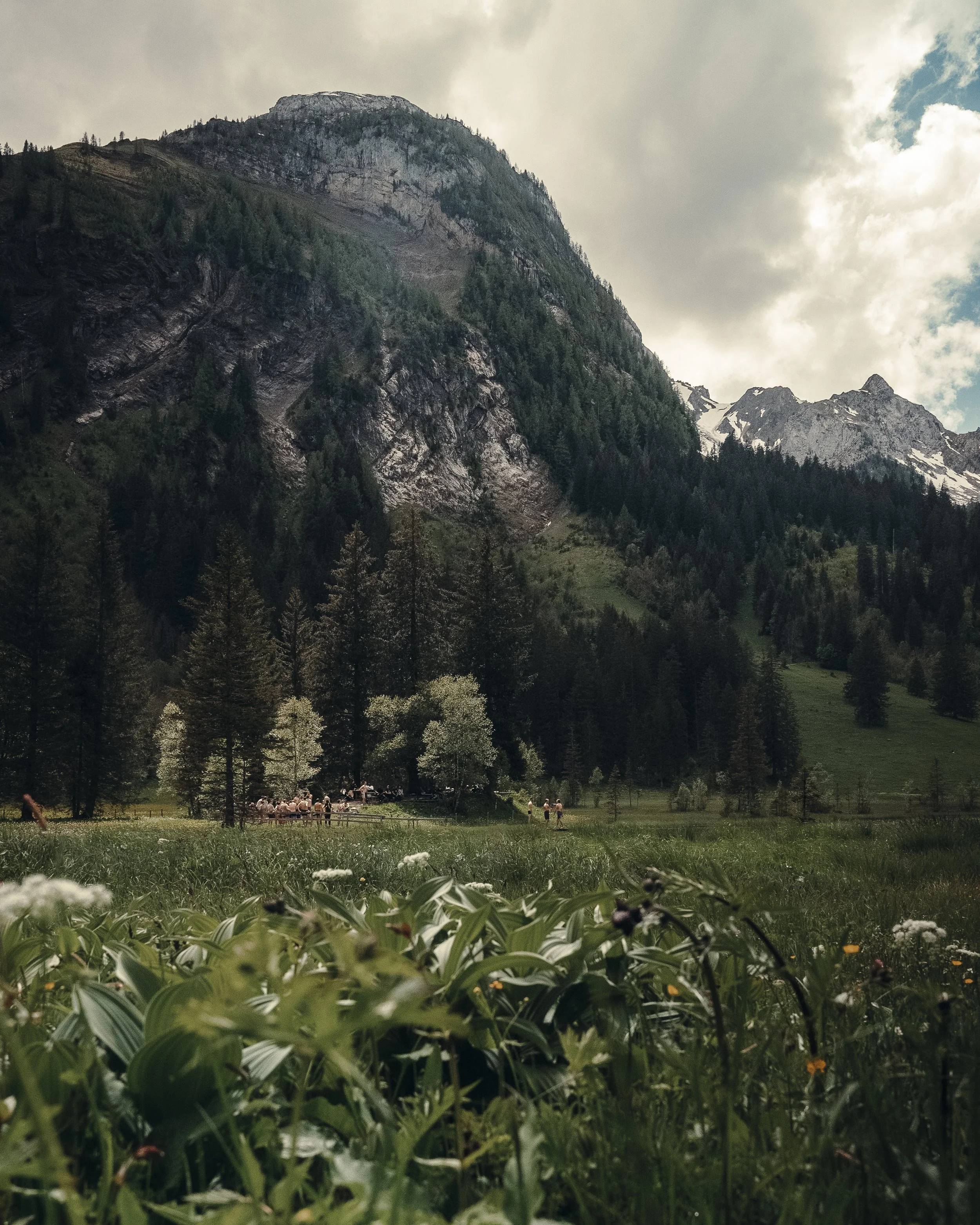 A mountain landscape with rocky peaks, evergreen forests, and a cloudy sky. In the foreground, there are green plants and small flowers, with some grazing animals and people in the distance, captured during a Kolder Creative Camp in Switzerland