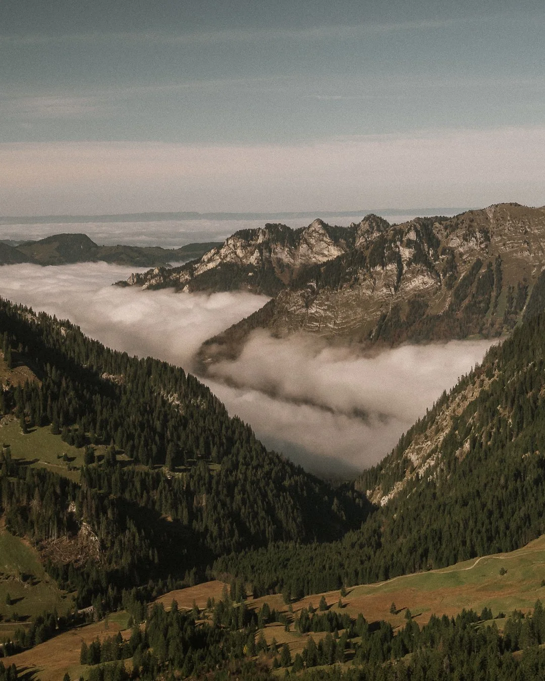 Mountain landscape with rocky peaks, dense green forests, and a valley filled with clouds or fog.