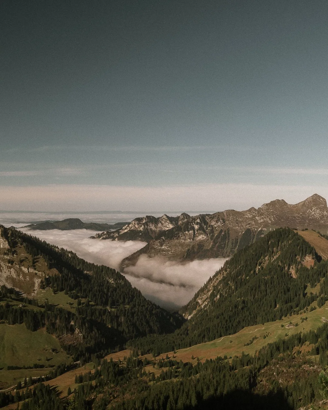 A mountainous landscape with lush green forests, fog lying in the valleys, and rugged mountain peaks under a clear sky.