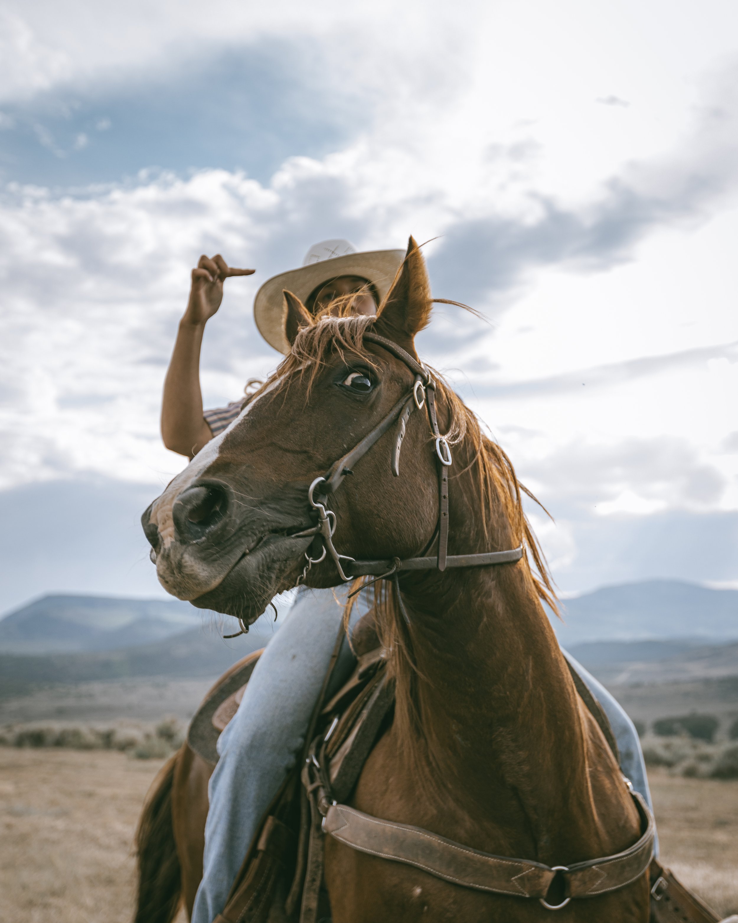 Close-up of a person riding a brown horse with a white blaze on its face in an open landscape. The rider is wearing a large straw hat and light blue jeans, and the horse is equipped with a leather saddle and bridle. The sky is partly cloudy with dist