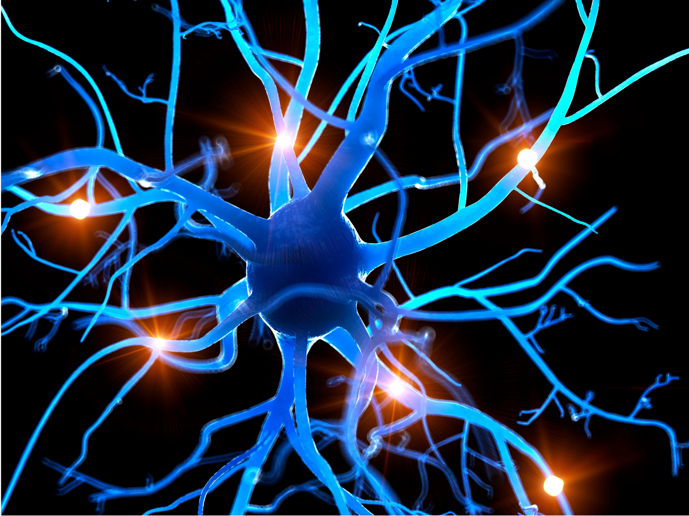 A detailed, artistic illustration of neurons with glowing blue axons and dendrites against a black background, accentuated by bright orange connections, representing neural activity.