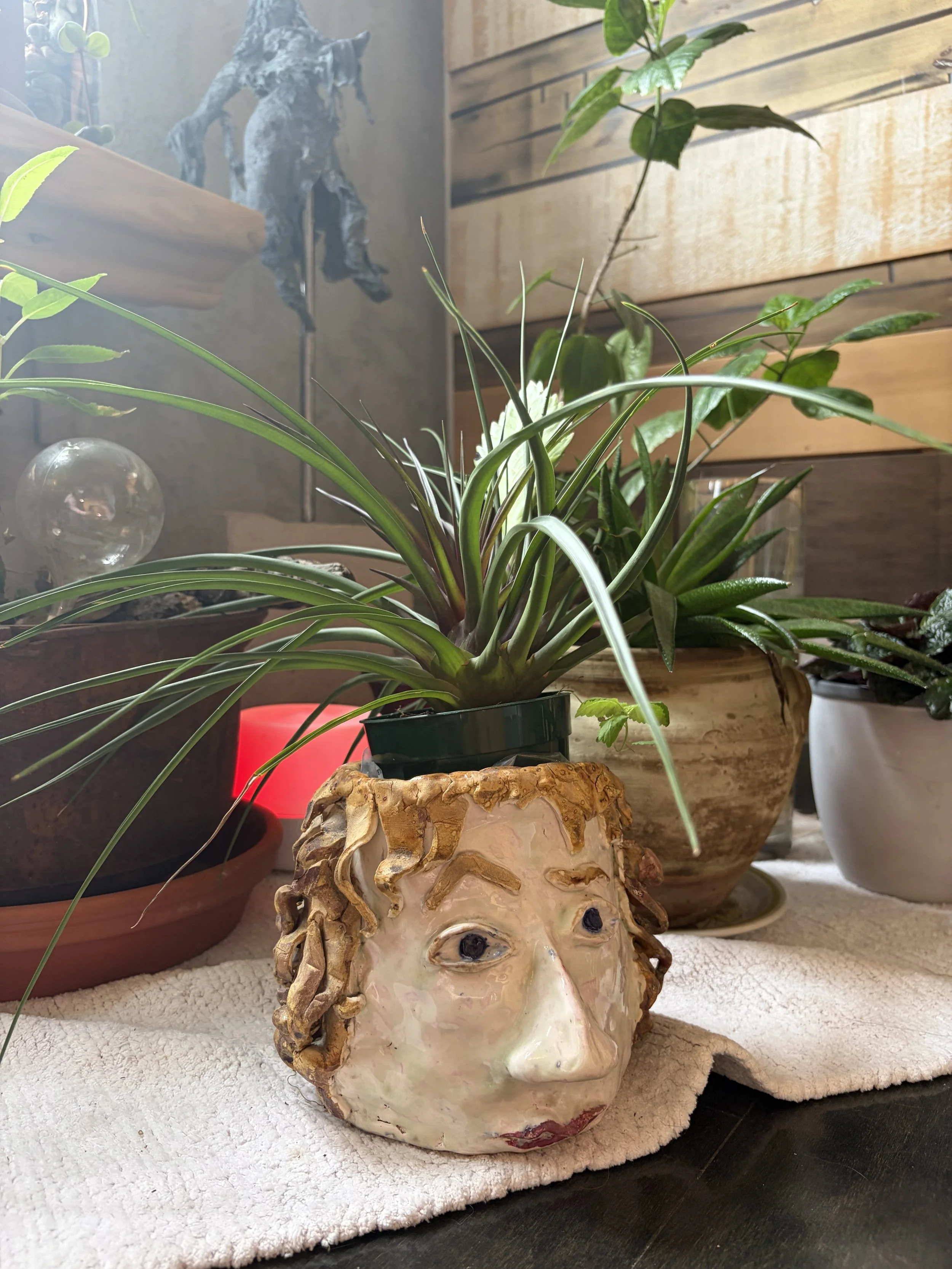 A decorative planter shaped like a face with curly hair, holding a green leafy plant, placed on a white textured cloth. In the background, there are other potted plants and a wooden wall.