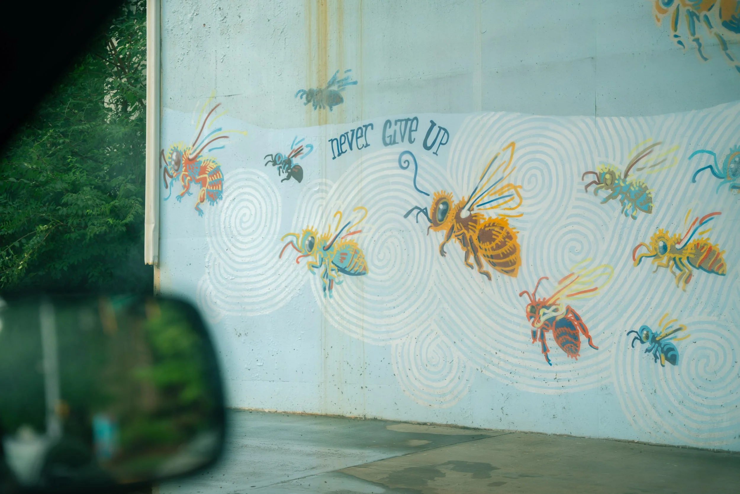 Colorful mural on a wall featuring bees and the phrase "never GIVE UP."