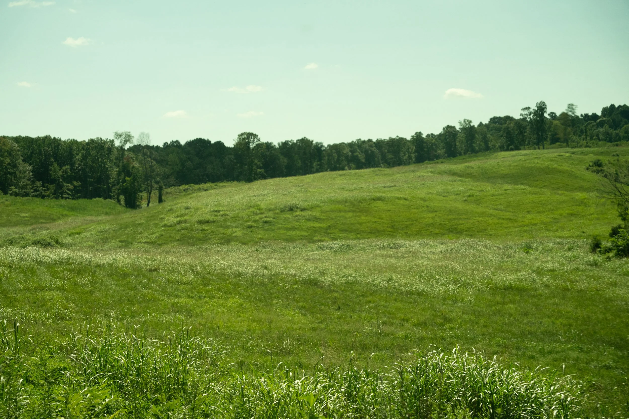 A landscape of rolling green hills with trees in the background and a partly cloudy sky.