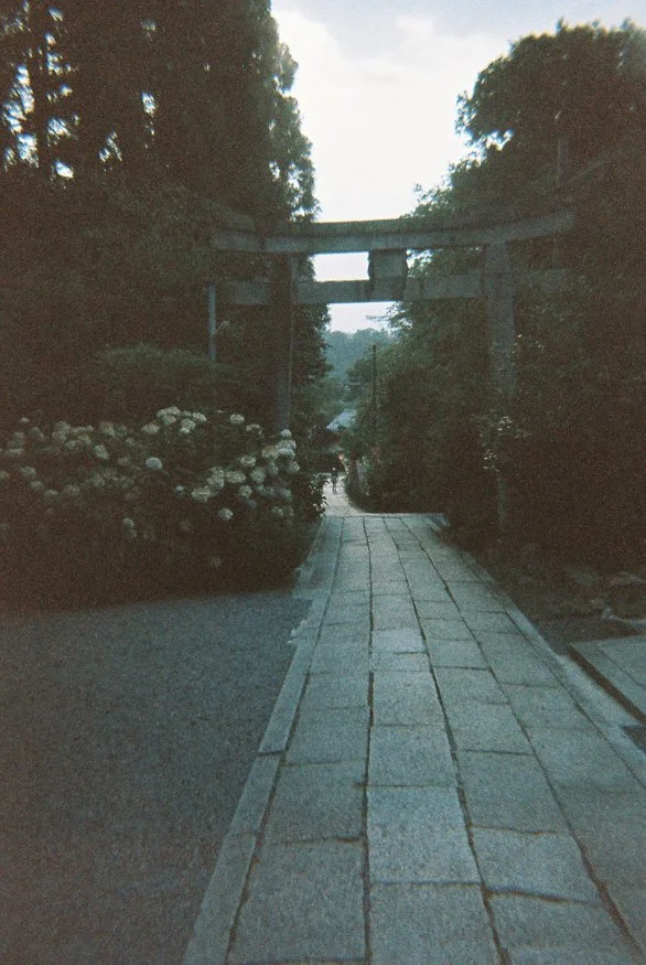 japan-analog-11.jpg