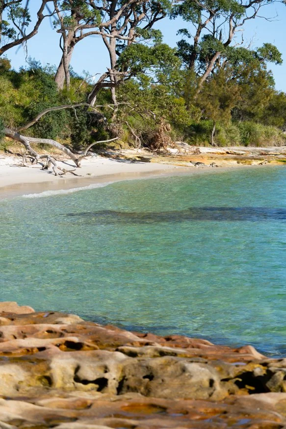camping-trip-strand.jpg