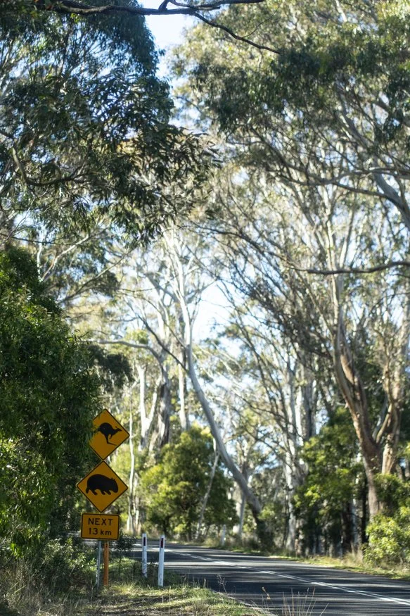 megalong-valley-tearooms-10.jpg