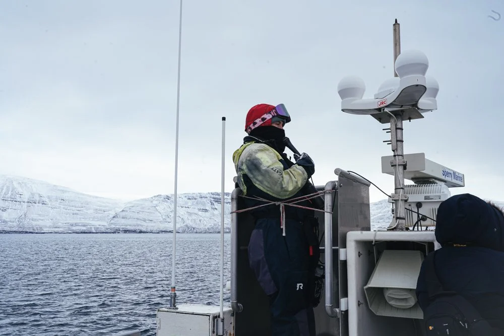 iceland-studio-koke-travel-5.jpg