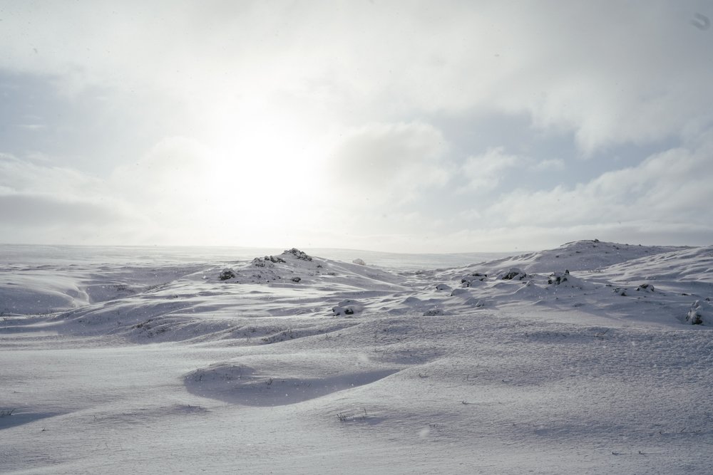 iceland-studio-koke-travel-akureyri-4.jpg
