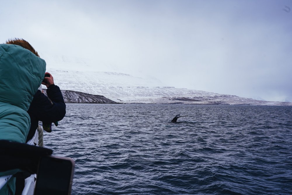 iceland-studio-koke-travel-4.jpg