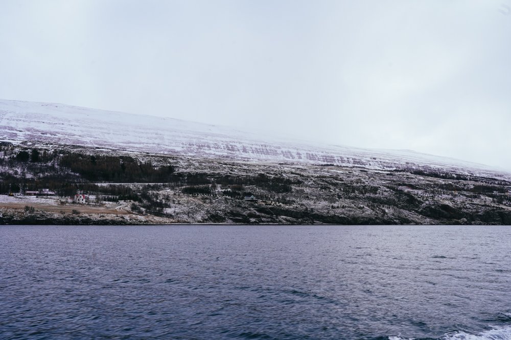 iceland-studio-koke-travel-2.jpg