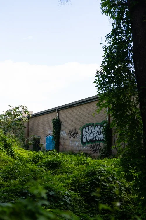 former-council-landfill-manly-10.jpg