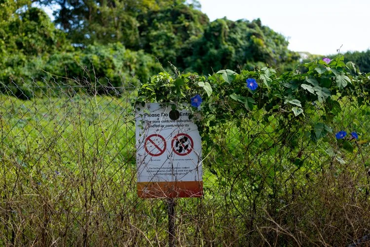 former-council-landfill-manly-12.jpg