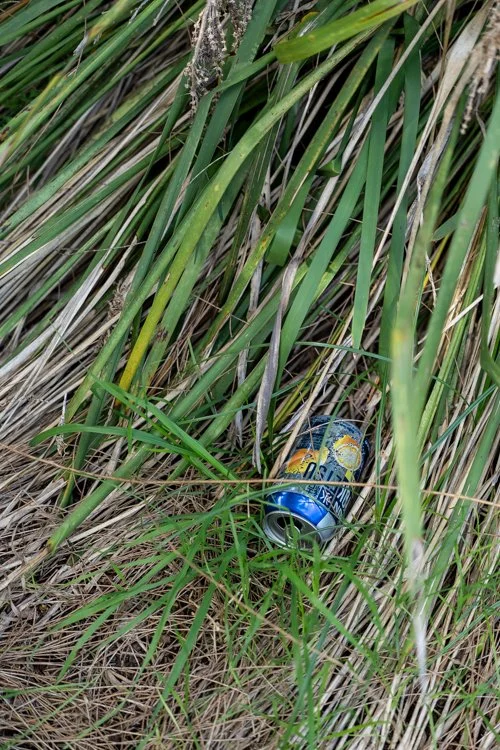 former-council-landfill-manly-6.jpg