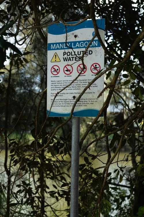 former-council-landfill-manly-2.jpg