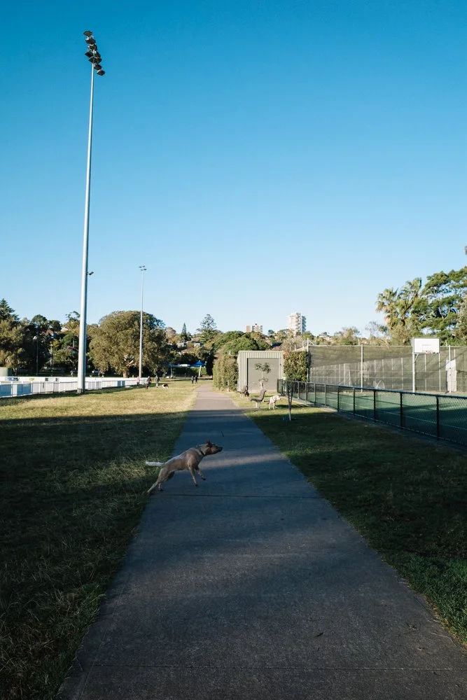 daily-blog-studio-koke-manly-sydney-31.jpg