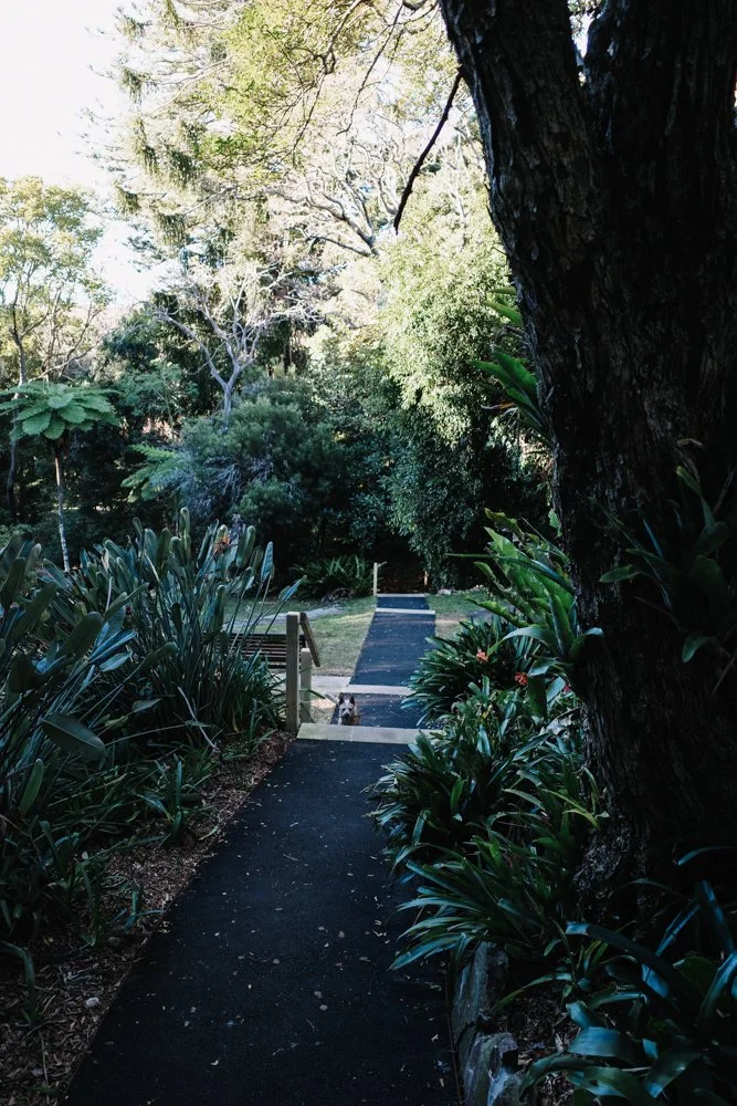 daily-blog-studio-koke-manly-sydney-23.jpg