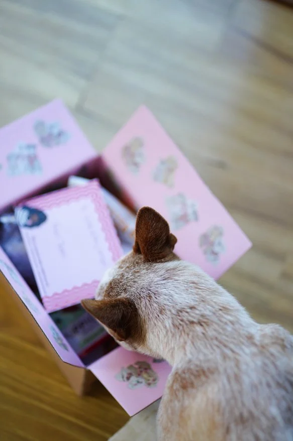 puppy-dog-gift-box-nsw.jpg