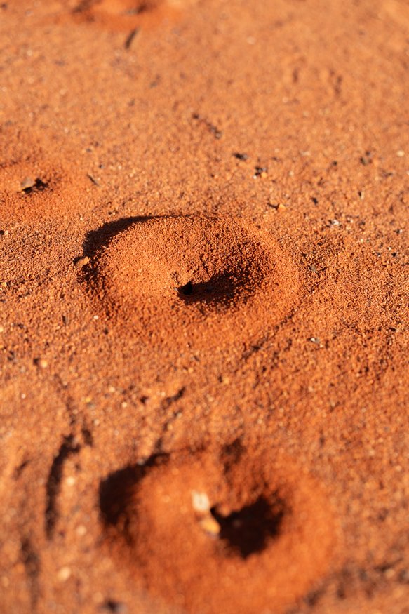 red-sand-uluru.jpg