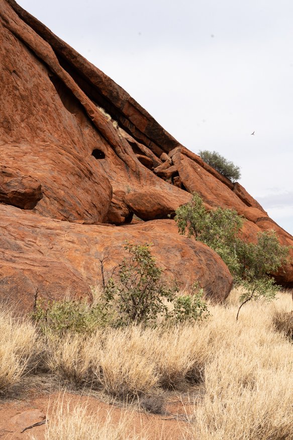 journal-uluru-area.jpg