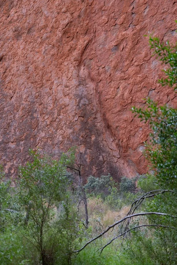 journal-uluru-area-2-2.jpg
