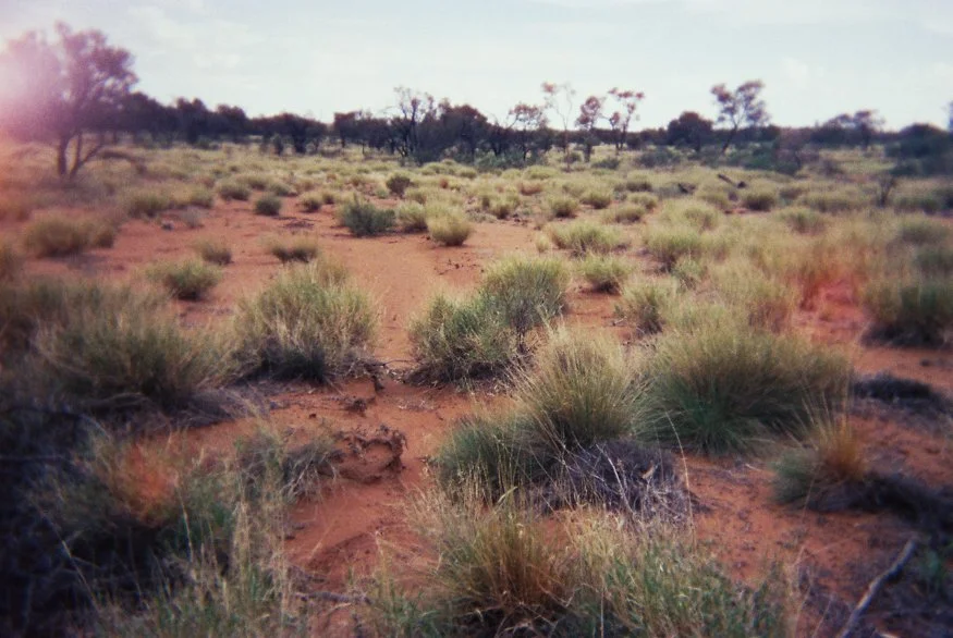 analog-uluru-3.jpg
