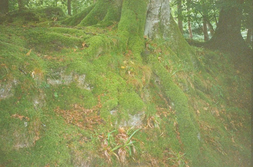 analog-scotland-visit.jpg