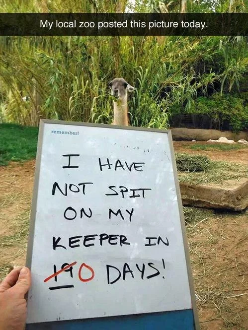 I HAVE NOT SPIT ON MY KEEPER IN 0 DAYS.jpg