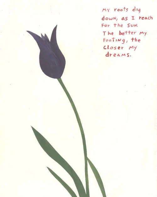 NEIL FABER FLOWER.jpg