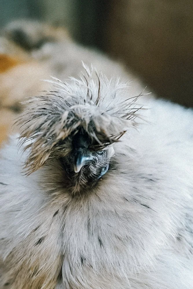 gitte-kornmann-photography.jpg