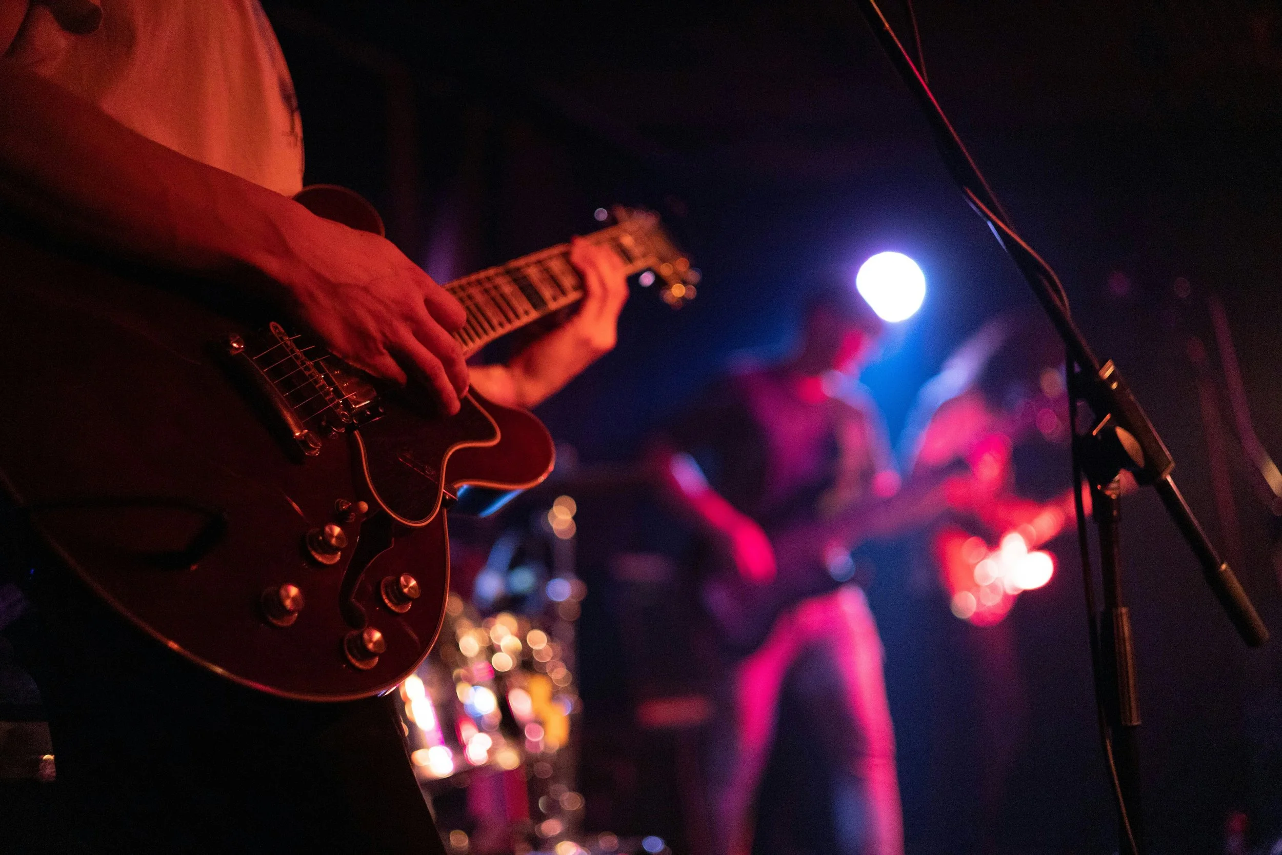 How to become a cruise ship musician: A complete guide