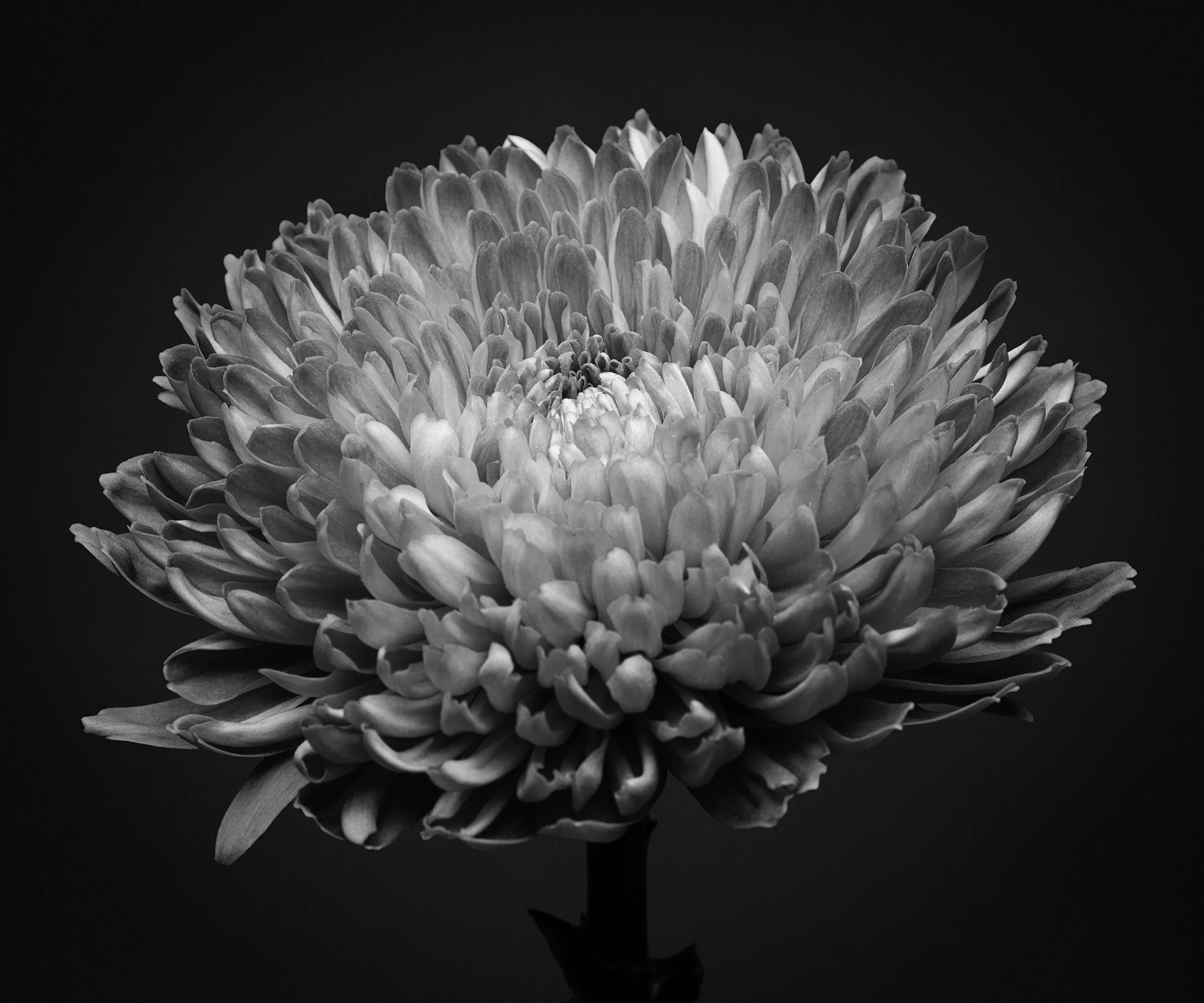 29_DSF8725-Edit-2-Edit.jpg