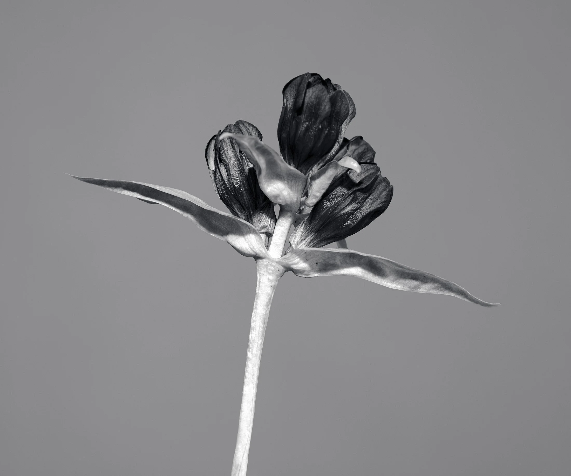11_DSF7665-Edit.jpg