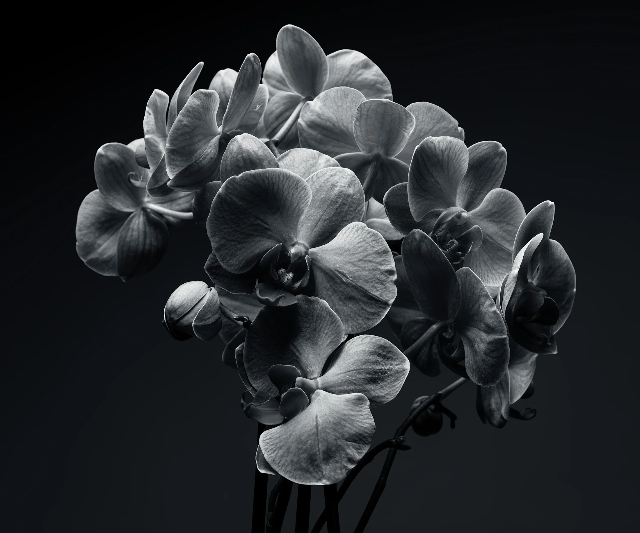 12_DSF7737-Edit.jpg