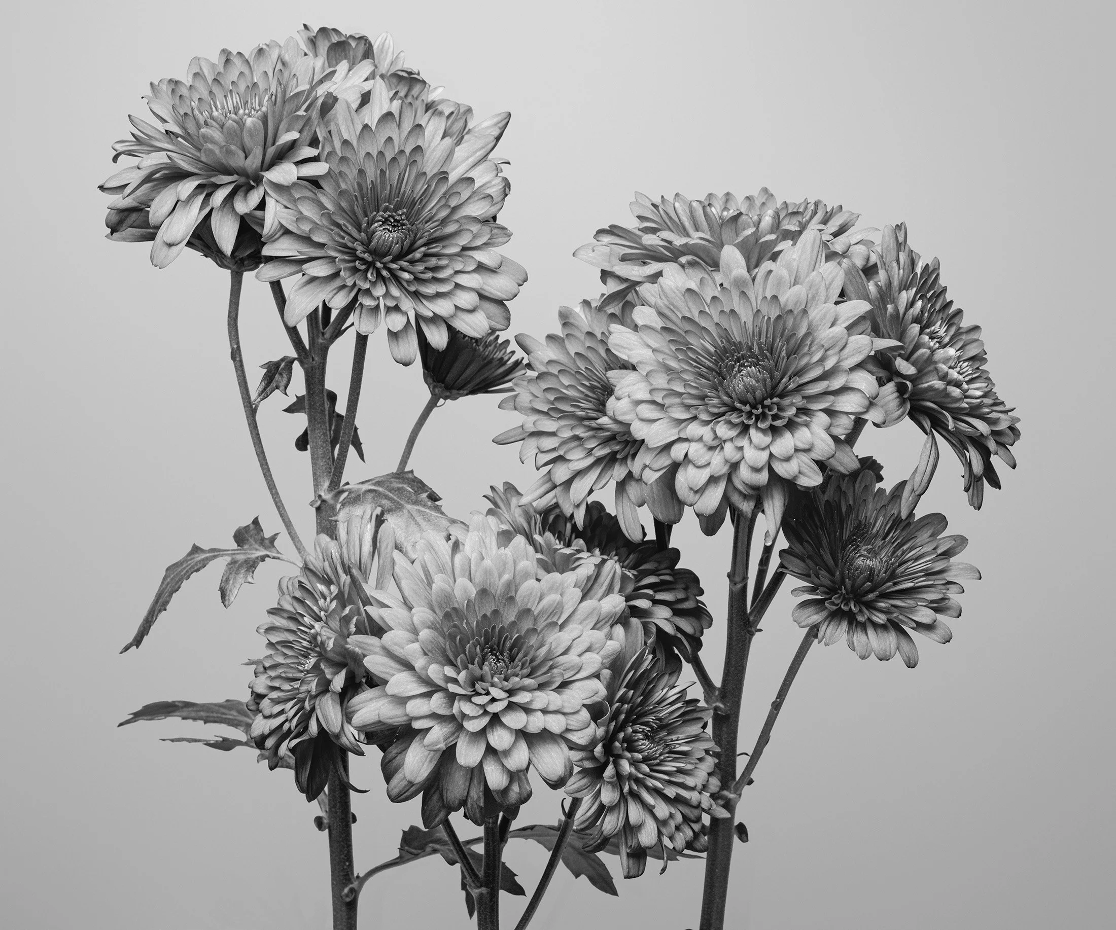 18_BW READY_DSF8035-Edit.jpg