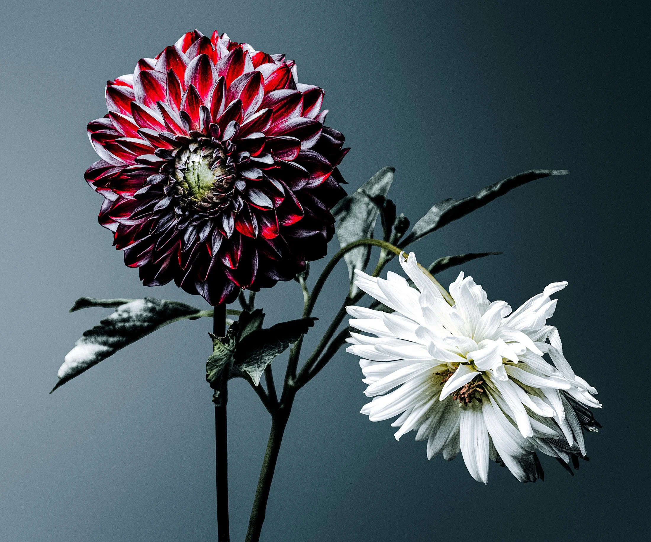 22TEST__DSF8431-Edit-Edit-2.jpg