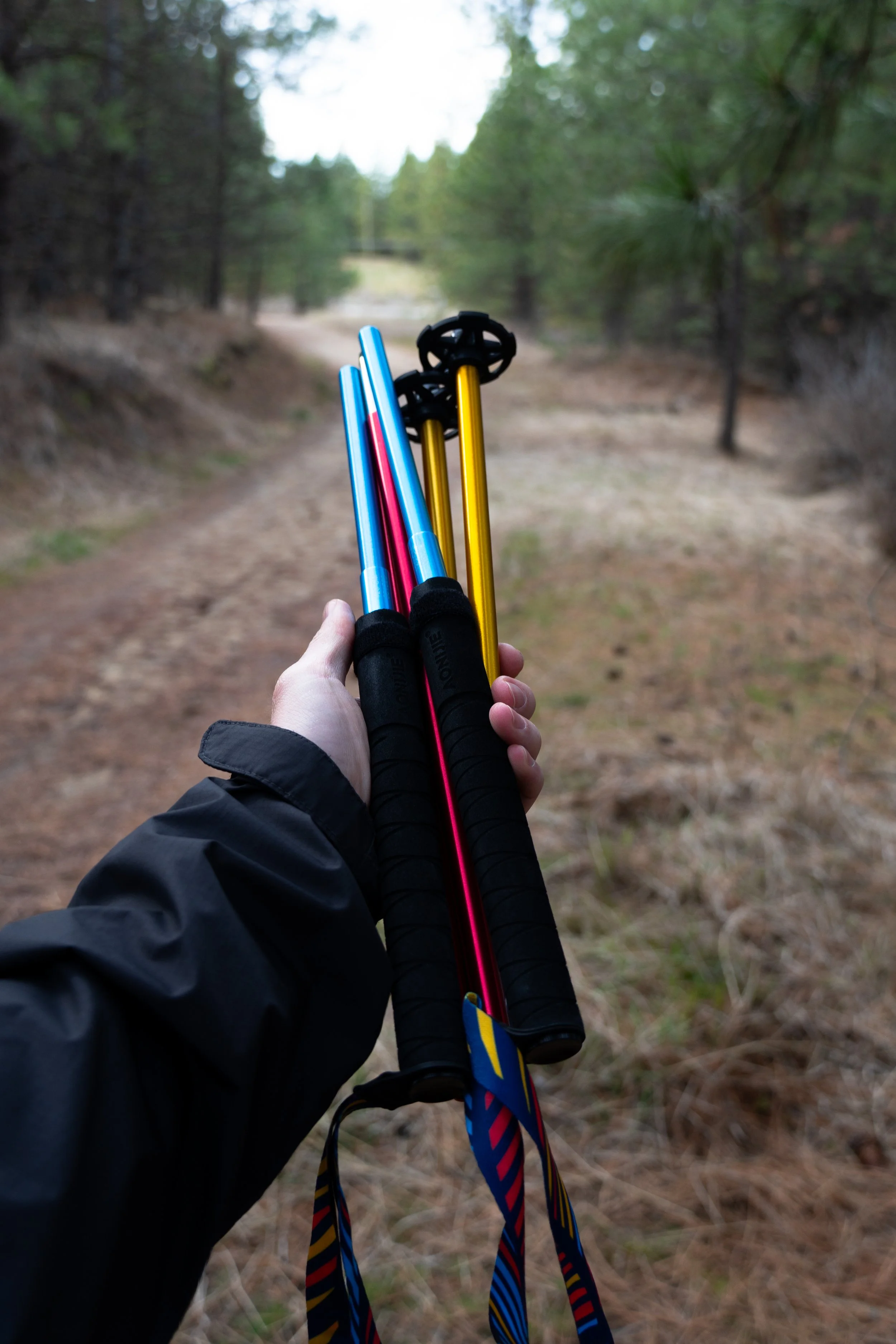 Person holding colorful trekking poles on a forest trail with trees on both sides.