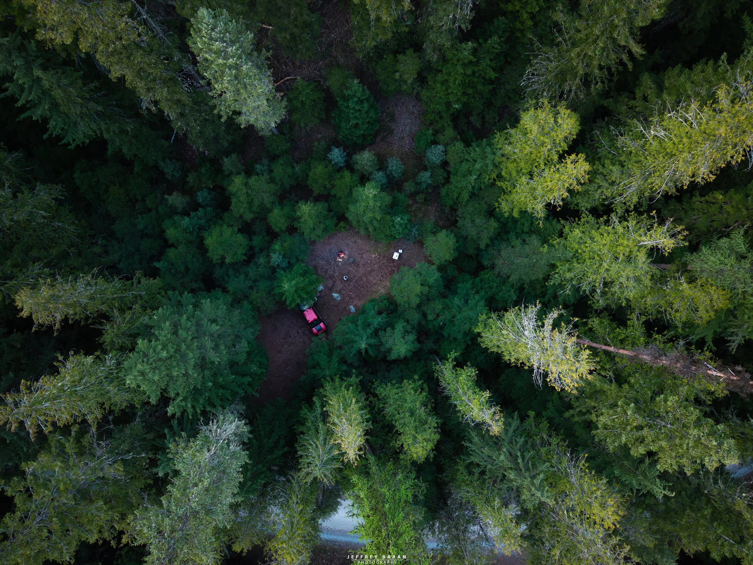 Aerial view of a dense forest with various shades of green trees and a small clearing with a red vehicle