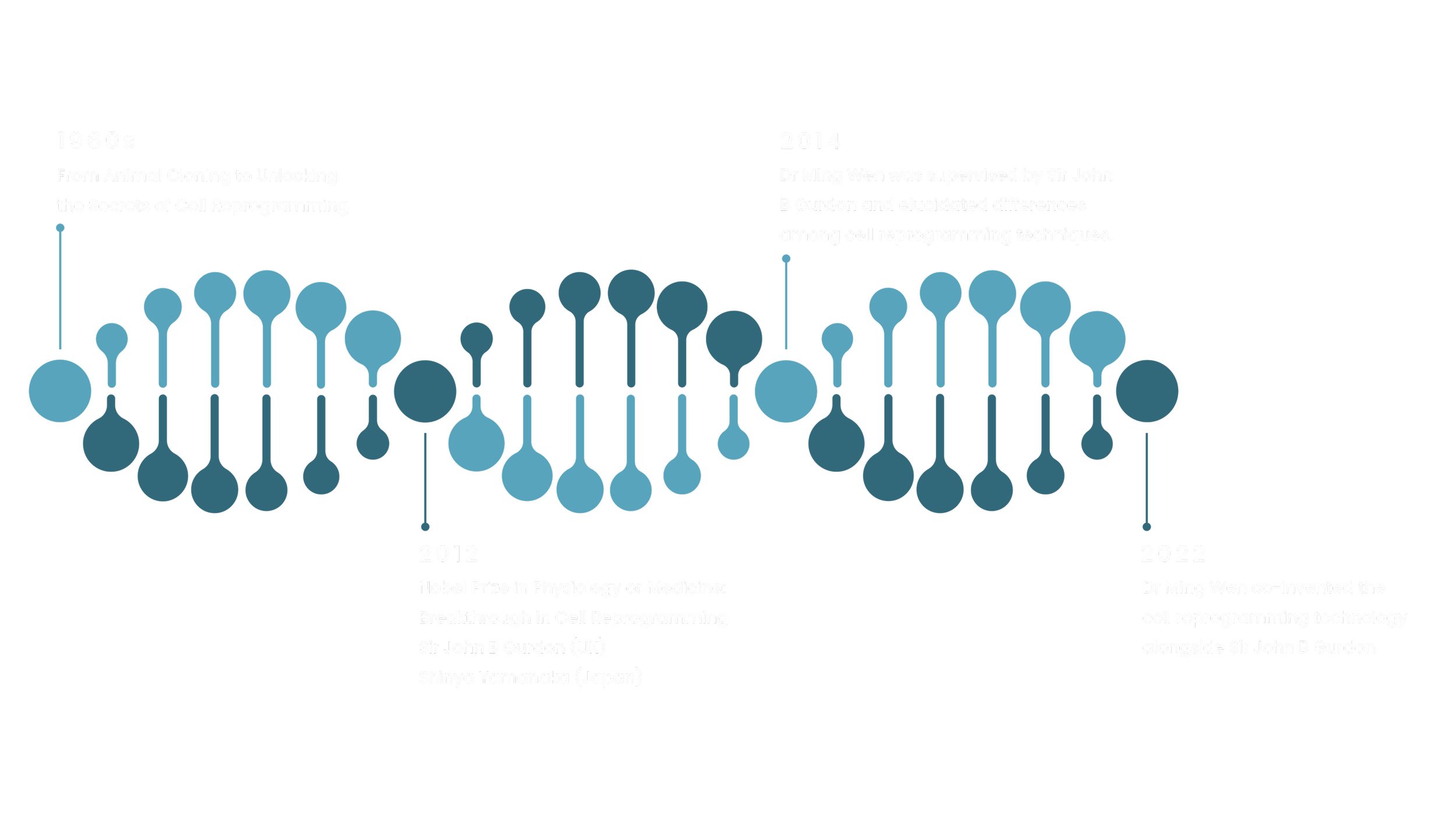 Timeline illustrating advancements in cell reprogramming from the 1960s to 2022, highlighting key scientists and breakthroughs such as animal cloning, Nobel Prize in Physiology or Medicine, and co-invention of cell reprogramming technology by Dr. Ming Wen.