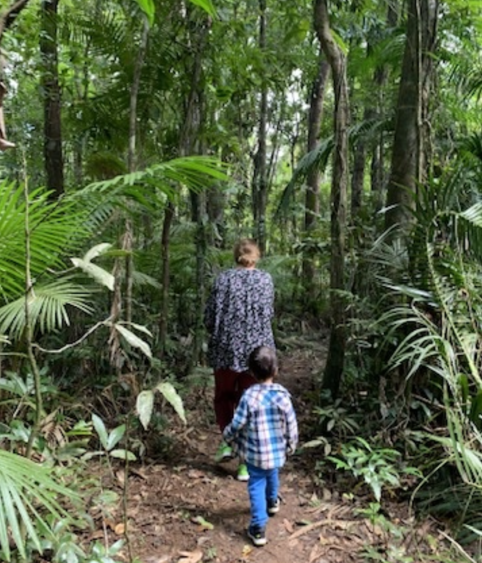 Adult and child hiking along a trail through a lush tropical rainforest